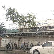 Hak teknik sdn bhd is a wholly owned bumiputera company and is incorporated on 27th june 1990. Tapis Teknik Sdn Bhd Factory