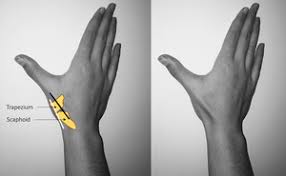 We did not find results for: Epos