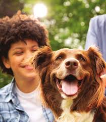 ASSISTING PEOPLE AND PETS DURING DISASTER TWO HISTORIC TRANSPORTS ARRIVE AT  OHS TIPS TO HELP YOUR NEW DOG ADJUST ASSISTING PEOPL