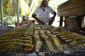 Anda bisa mendapatkan referensi lengkap ragam jenis ikan memang banyak sekali, mulai dari ikan yang umum di konsumsi, ikan. Ikan Keli Salai Laris