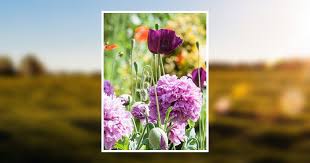 Ellen Sugg Obituary November 9, 2012