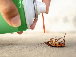 Terminix also has more tame solutions for your everyday pest control problems such as mosquito control, rodent control, and for some places like dallas, texas, they even take care of fire ants. Dm Approved Best Pest Control Company In Dubai Hygeia