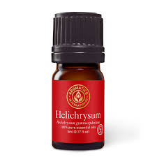 Image result for Helichrysum geminatum