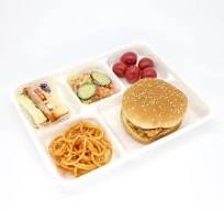 Disposable Biodegradable Sugarcane Bagasse Rectangle Plate Small Cake Plate