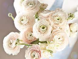 Bouquets, wedding flowers, sympathy flowers and workshops (online & in person) Wedding Flowers