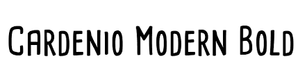 Download free cardenio modern font by nils cordes from fontsly.com. Cardenio Modern Bold Font Download For Free Ffonts Net