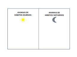 CIÊNCIAS DA NATUREZA – O TEMPO E O RITMO DA VIDA – Conexão Escola SME