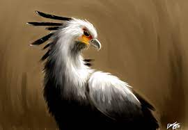 Maybe you would like to learn more about one of these? Secretary Bird By Faezza On Deviantart