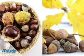 Je nach größe der kastanien und länge der für den kopf eignet sich eine eichel mit fruchtbecher als hut. Basteln Mit Kastanien Und Eicheln Im Herbst Kastanienfiguren Co Talu De