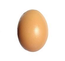 Kocokan telur ikon telur gambar png. Telur Instagram Wikipedia Bahasa Indonesia Ensiklopedia Bebas