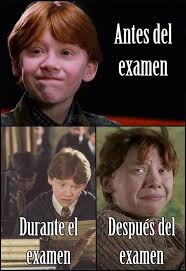 Pinterest Descobre E Guarda Ideias Criativas Memes Divertidos Memes Chistes Graciosos