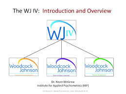 Wj Iv Battery Introduction And Overview