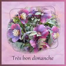 J - TRES BON DIMANCHE.jpg | Forum Le monde du Scrap
