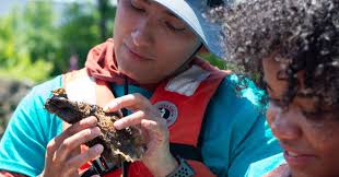 Billion Oyster Project