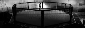 The great collection of hd mma wallpaper for desktop, laptop and mobiles. Free Download Ufc Octagon Wallpapers Book Octagon Ufc 716x439 For Your Desktop Mobile Tablet Explore 50 Ufc Iphone 6 Wallpaper Iphone 6 Wallpaper Size Best Iphone Wallpapers Free Wallpaper For Iphone 5