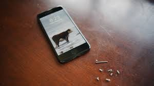 Look How Disgusting Your Iphone S Lightning Port Probably Is Iphone Iphone Light Disgust
