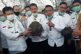 Kamu bisa menemukan penjual benih porang dari seluruh indonesia yang terdekat dari lokasi & wilayah kamu. Sebanyak 5 Ribu Ton Porang Siap Ekspor Ke Cina Harga Porang 10 Juta Ton