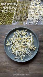 Pin On What To Cook Today Asian Recipes