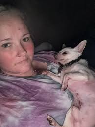 Roadside vet recommendations for compassionate care