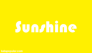 News that updates your information; Arti Sunshine Adalah Pengertian Dan 13 Persamaan Kata Sunshine Artinya Kata Populer