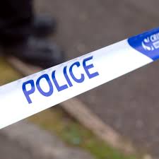 London stabbing: teenager killed in Forest Gate