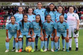 Your first book is free with trial! Femenina O Higgins Fc El Orgullo De La Region