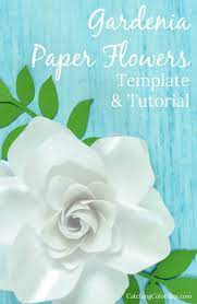 Small Gardenia Paper Flower Template Paper Flowers Paper Flower Template Flower Template