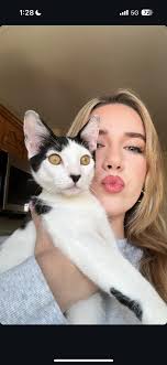 Information for those who have been fighting "greasy hell", as I have for  years. (I thought I'd tried everything.) * A couple of months ago I started  feeding a toxin binder when