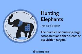 Hunting Elephants: What It Means, Types ...