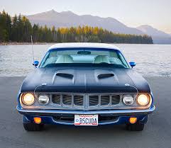 Image result for True Blue 1971 Barracuda