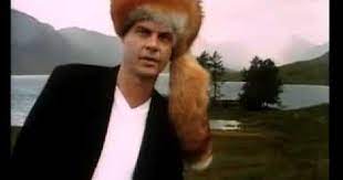 Fox Hat Fox Hat Funny Commercials Ecards Funny