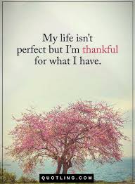 Quotes My Life Isn T Perfect But I Am Thankful For What I Have My Children Quotes Perfection Quotes My Life