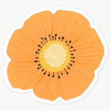 Orange Flower Sticker Transparent Png Premium Image By Rawpixel Com Katie Moir Floral Stickers Transparent Stickers Aesthetic Stickers