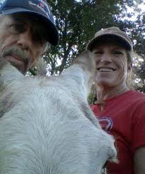 Looking for yearling own daughter of a good cutting horse IN TEXAS . Under  20 k