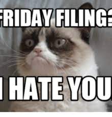 Grumpy Cat Meme Friday Grumpy Cat