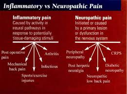 Pin On Fibromyalgia