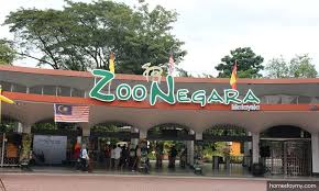 Enjoy the taiping zoo with your family and friends and get a once in a lifetime opportunity to actually feed the animals. Potongan Harga Istimewa Di Zoo Negara Zoo Melaka Dan Zoo Taiping Night Safari Malakat Tribune