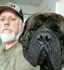 Hello there! Rambo's paw 🐾