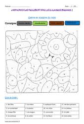 Coloriage Magique Nature Et Fonction Ce2 Cycle 2