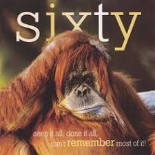 Funny Happy 60th Birthday Meme For Her Age 60 Funny Birthday Card Orangutan Framed Birthday Wishes For Brother 60th Birthday Quotes Birthday Wishes Funny