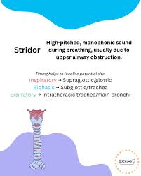 Image result for Stridor