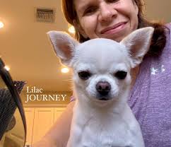 It took some splaining, but dad finally figured out that sharing of  breakfast is MANDATORY.