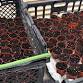 Sowing the Seeds of Love at our Tree Nursery event in Amersham