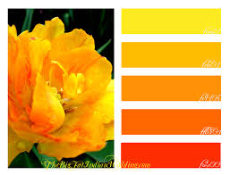 Warm Sunshine Color Palette Monday Palette Garden Color Palette Bright Color Palette