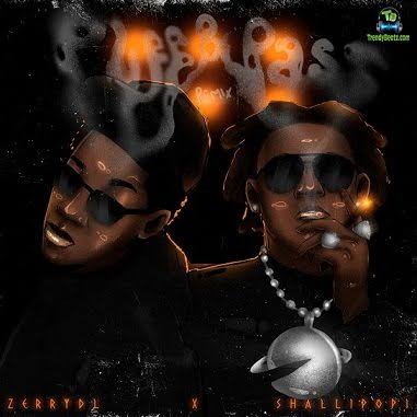 Puff & Pass by Zerrydl featuring Shalipopi - Official cover art on ZongaMack