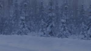 The closest neighbor to sue aikens is more than 300 miles away. Watch Life Below Zero Northern Territories Tv Show Streaming Online Nat Geo Tv