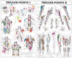 27485 Trigger Points Charts Fysiomed