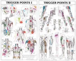 27485 trigger points charts fysiomed