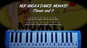 Not Angka Dance Monkey Dari Toni And I + Lirik | Jurnalfakta.com