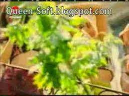 Cea mai frumoasa melodie arabeasca. Cea Mai Super Melodie Arabeasca Video Dailymotion